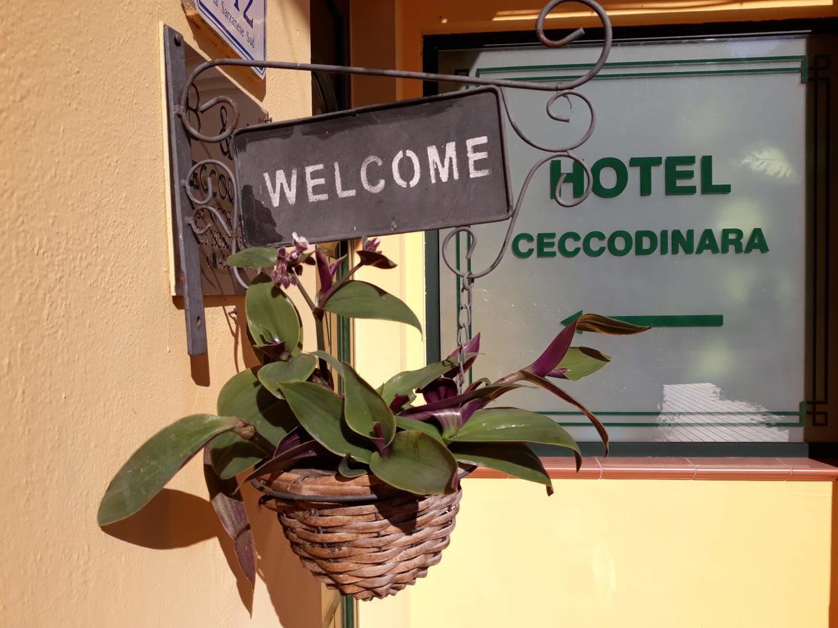 Hotel Cecco Di Nara Massarosa Exterior foto